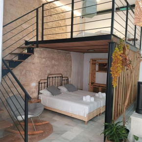 Jerez Palace House